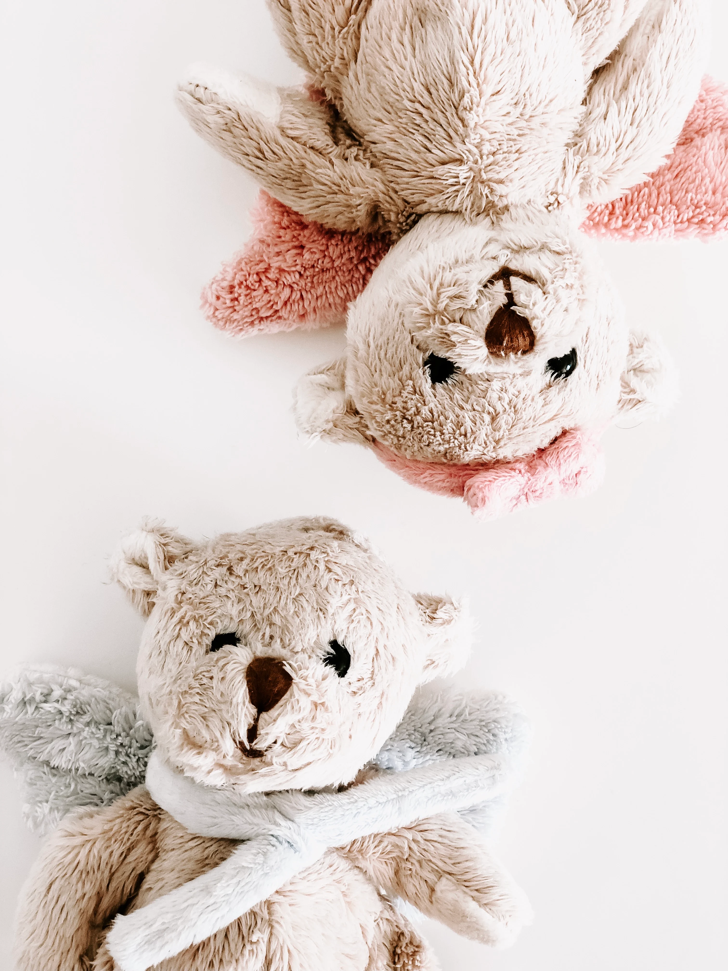 Toys & Plushies